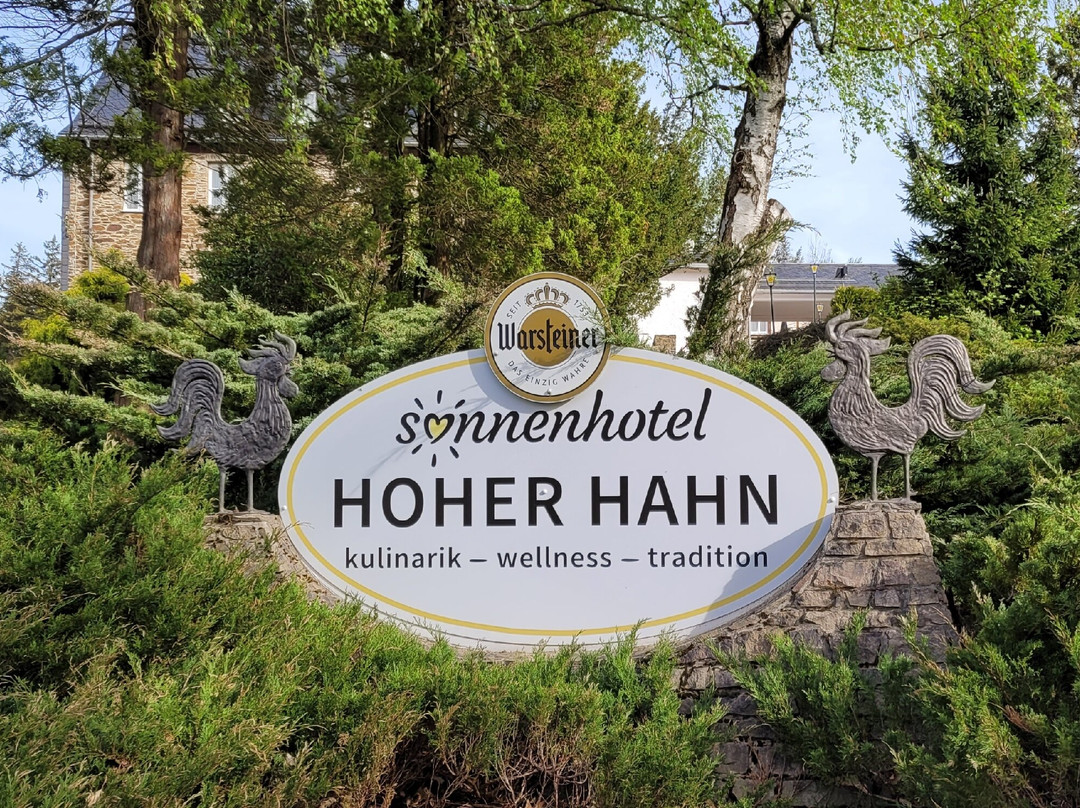 Sonnenhotel Hoher Hahn主图