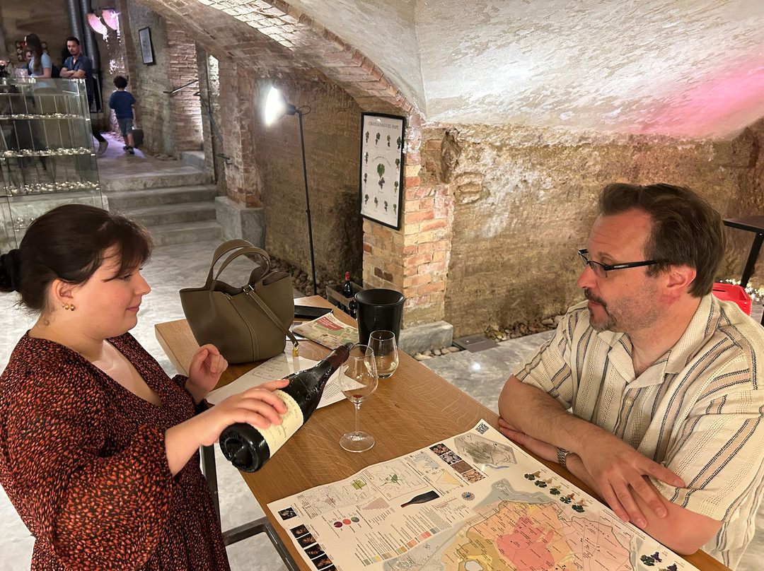 Vinadea - Maison des Vins et Vinotheque-教皇新堡必去景点