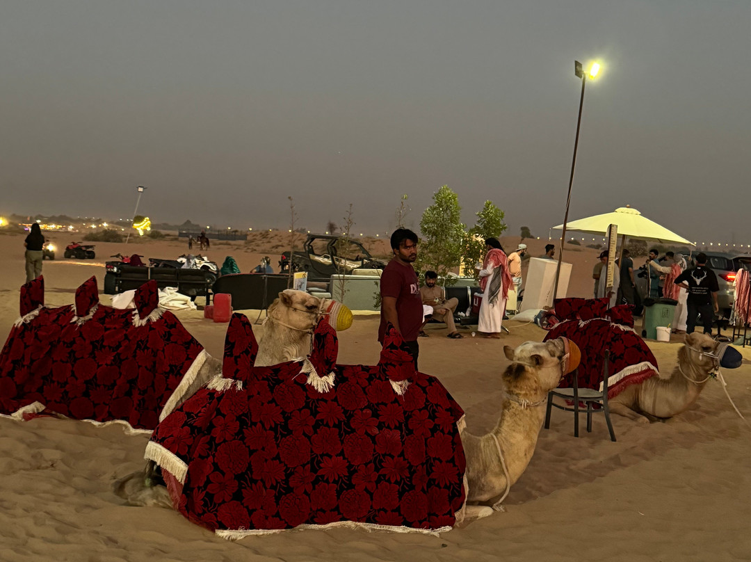 Friends Guide Travels and Tourism LLC-迪拜必去景点