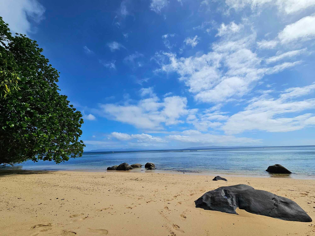 塔韦乌尼岛度假酒店及水疗中心主图