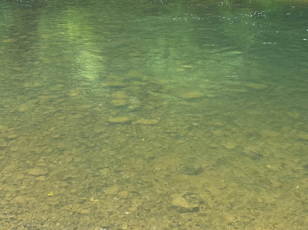 Young River Falls-阿斯托里亚必去景点