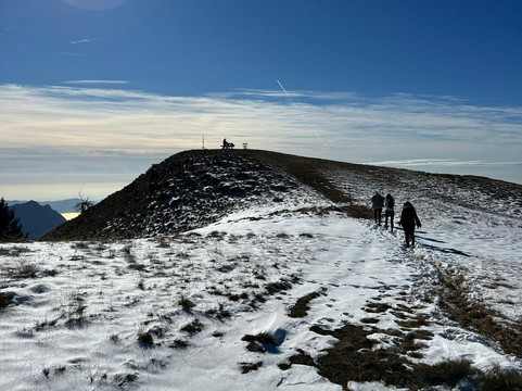 English Al Fresco-伦敦必去景点
