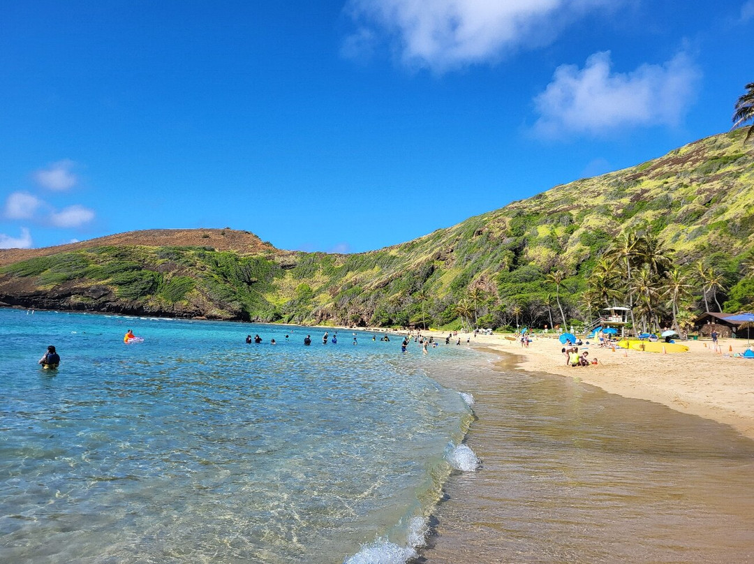 Pure Aloha Adventures-火奴鲁鲁必去景点
