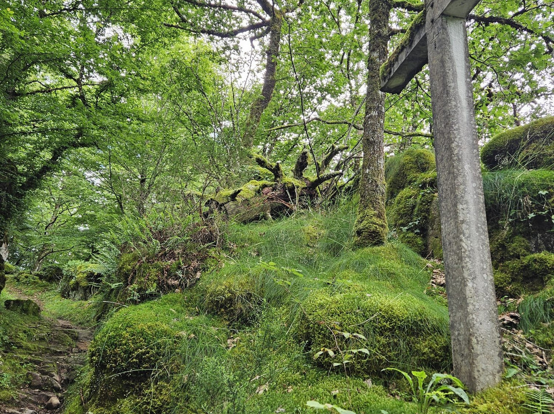 Notre Dame Du Roc-Servieres-le-Chateau必去景点