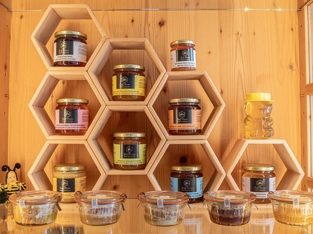 Hotel Birkenbrunn主图