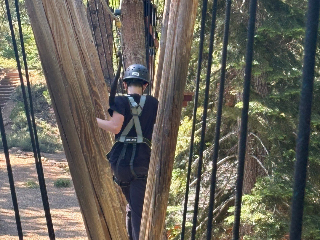 Tahoe Vista Treetop-塔霍维斯塔必去景点