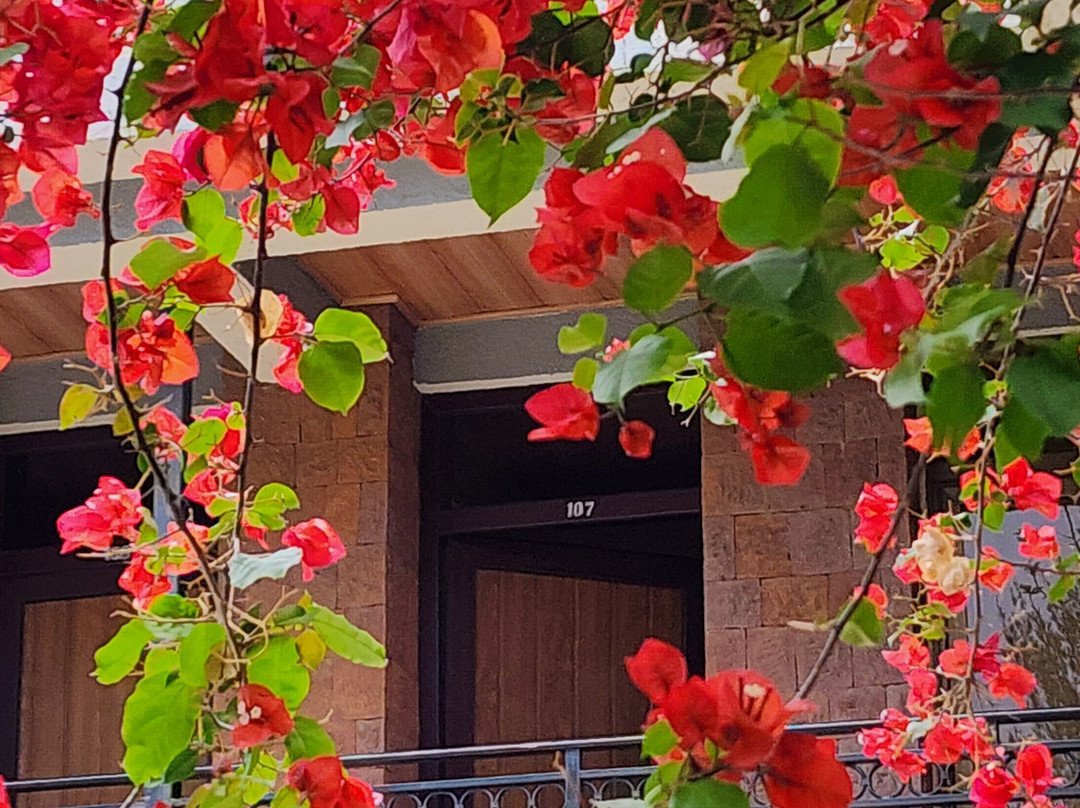 Tabor Hotel Lalibela主图