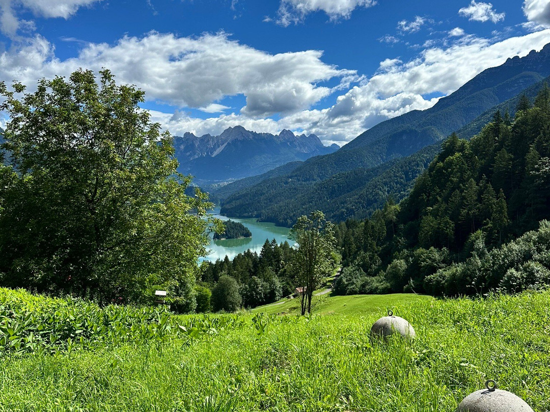 Parco Roccolo - Sant'Alipio-Pieve di Cadore必去景点
