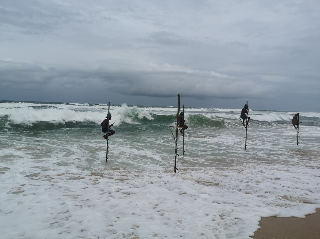 Stilt Fishermen Sri Lanka景点图片