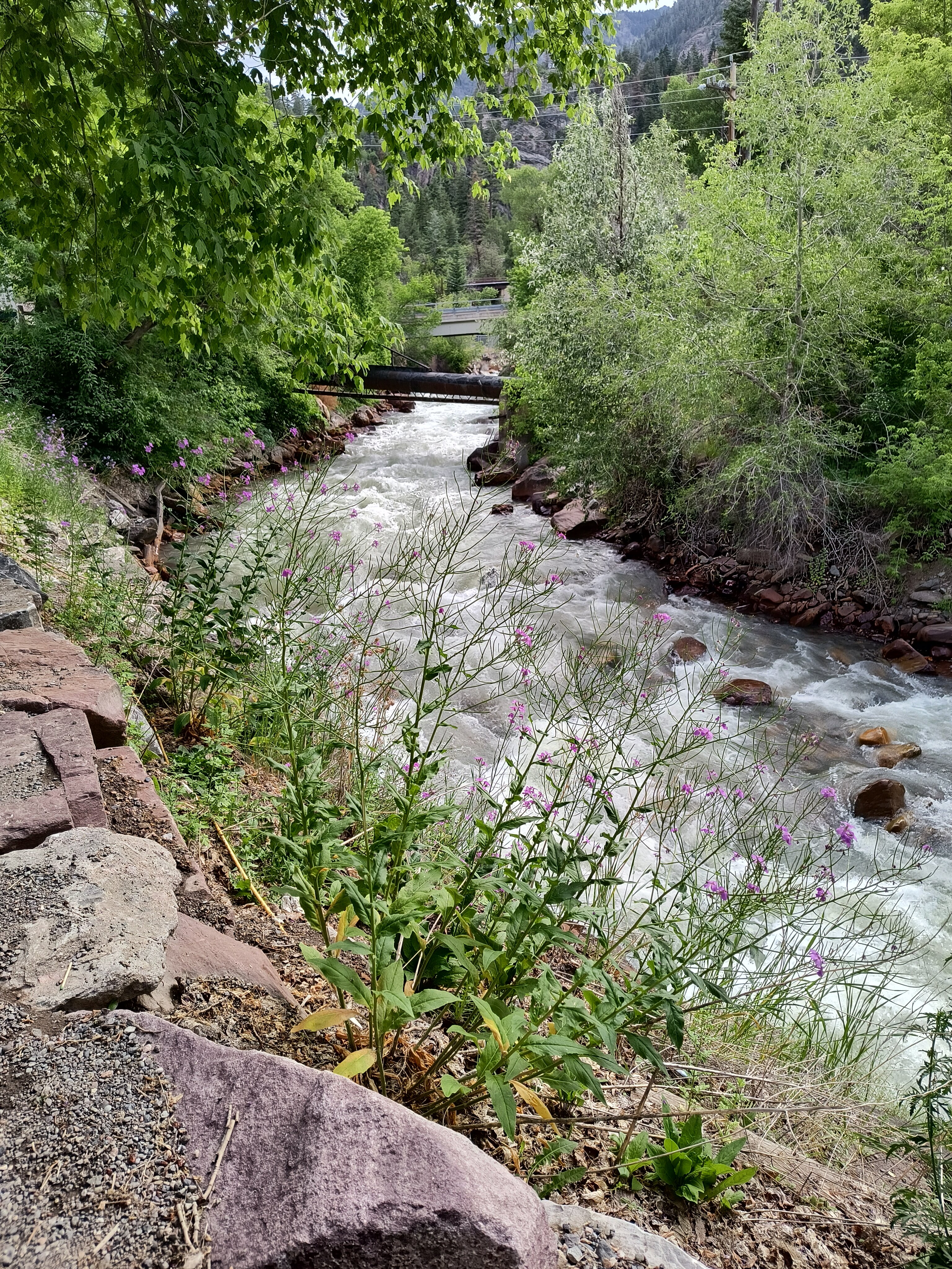 Twin Peaks Lodge & Hot Springs-浴室