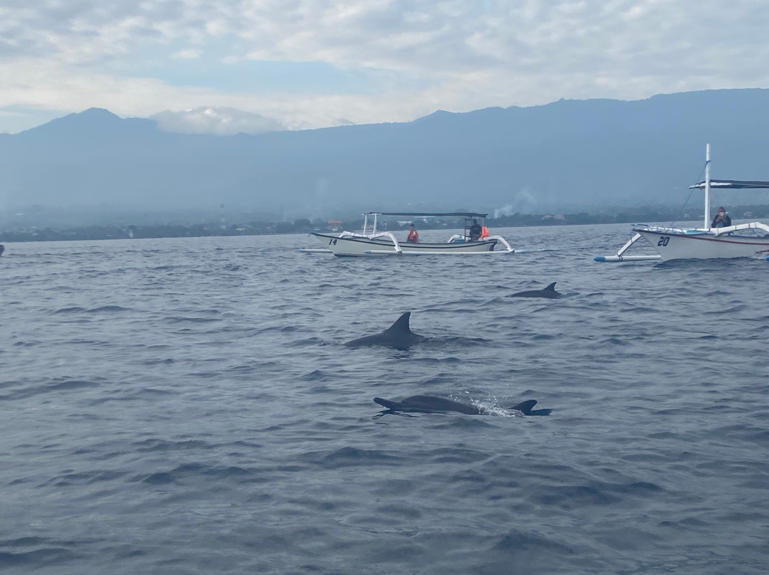 Bali Travelo - Day Tours-登巴萨必去景点