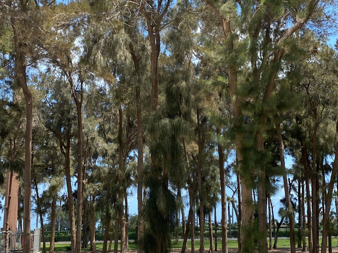 Helnan Palace Hotel - Adults Only主图