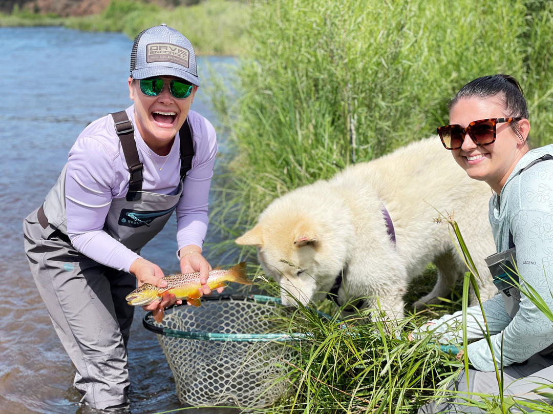5280 Angler-阿瓦达必去景点