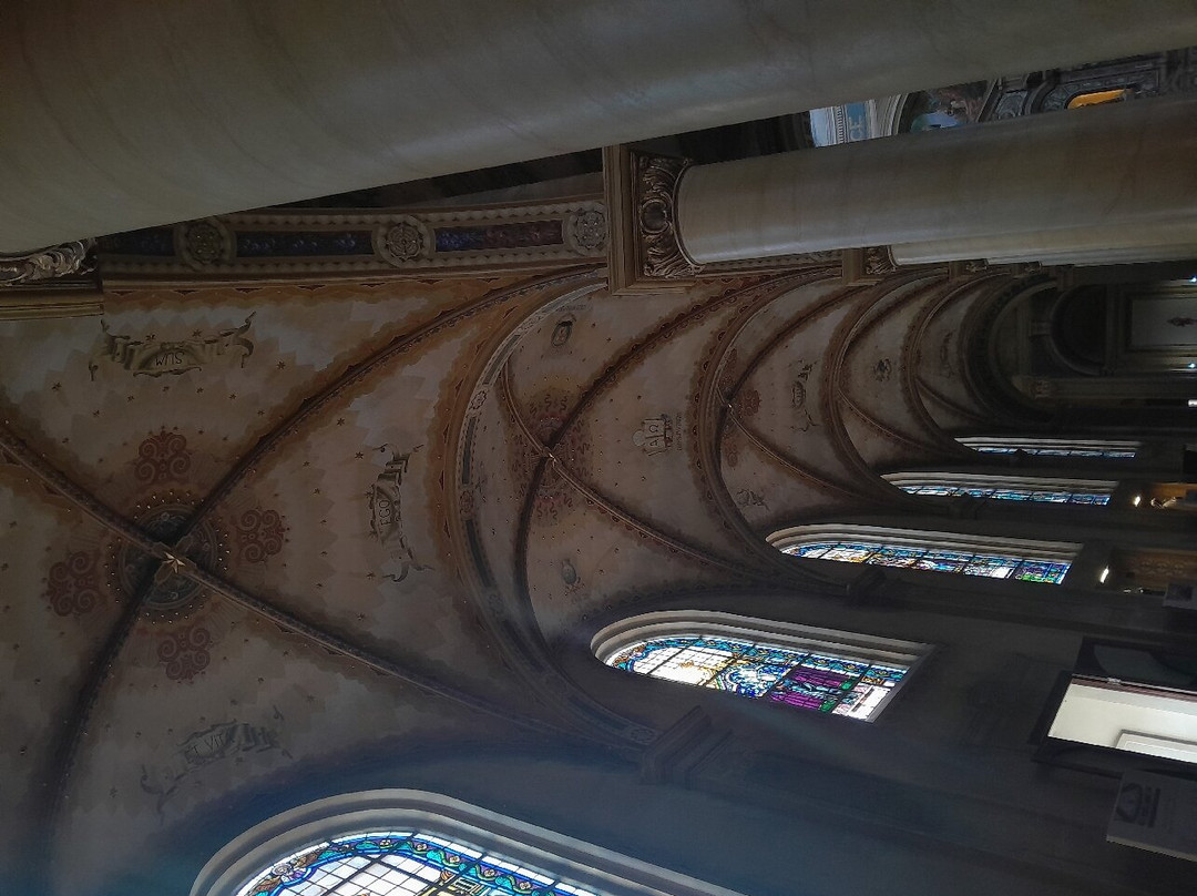 Catedral Metropolitana de Sao Francisco de Paula景点图片