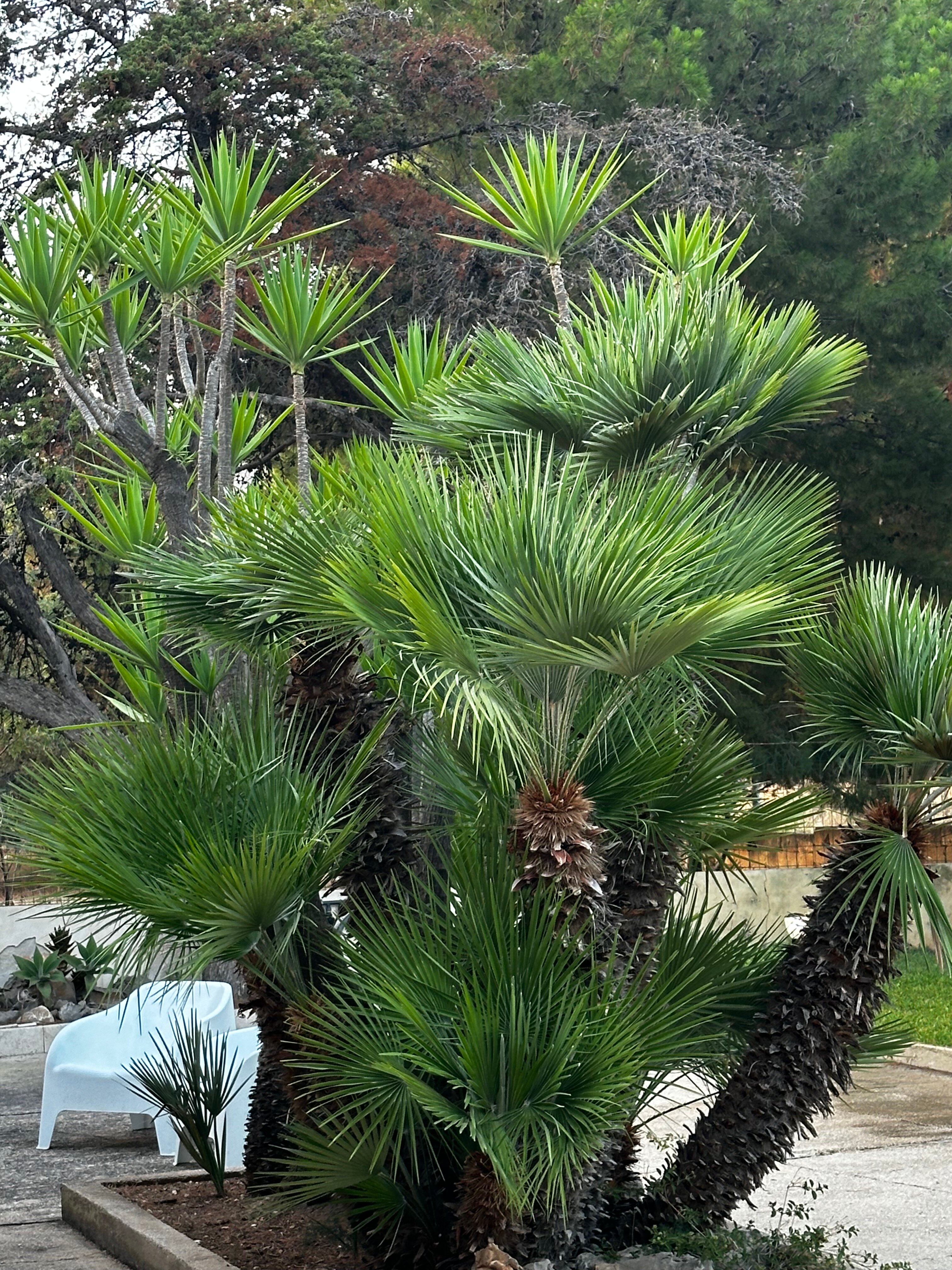 B&B "Perla del Sud"-酒店景观