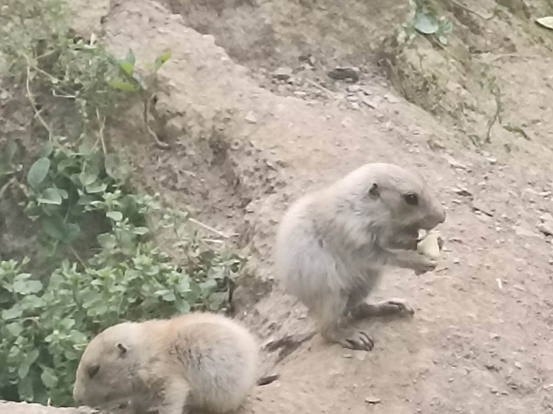 Aran Park景点图片
