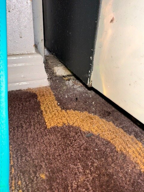 Mockingbird Inn & Suites主图