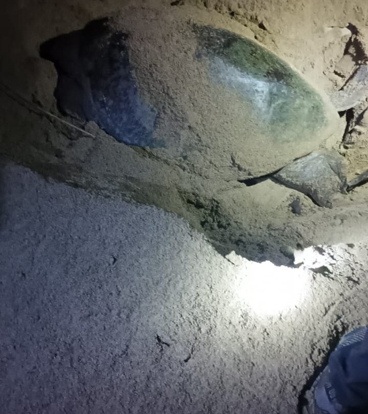 Villa/Guesthouse Rumah Kita主图