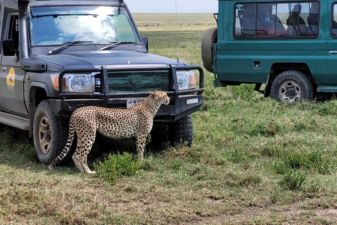 Kilimanjaro Wonders Expedition Safari-莫西必去景点
