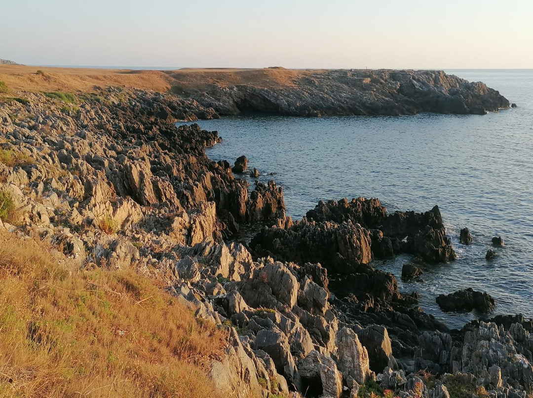 Hotel San Daniele主图