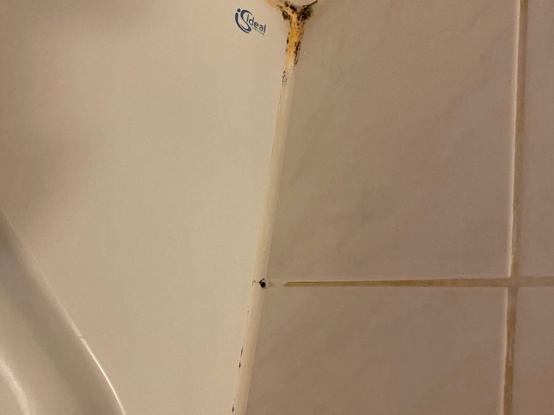 Seehotel zur Post主图