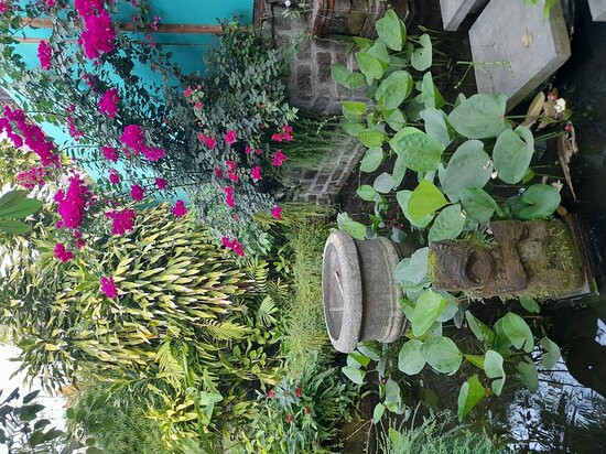 Bebek Cottages Sanur