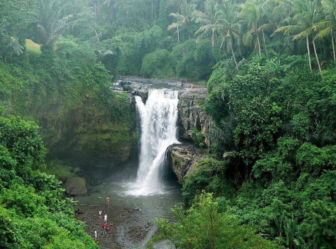 Bali Gate Tours景点图片