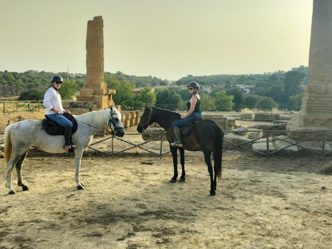 Amici del Cavallo景点图片