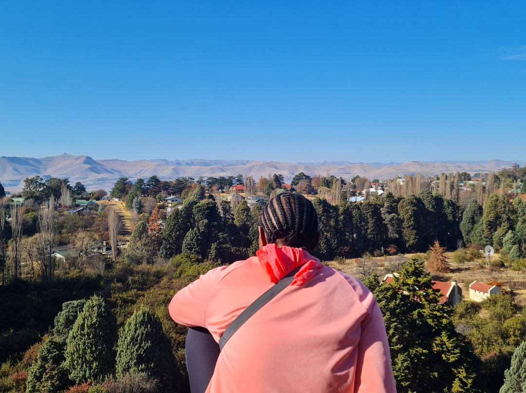 Bibliophile-克拉伦斯必去景点