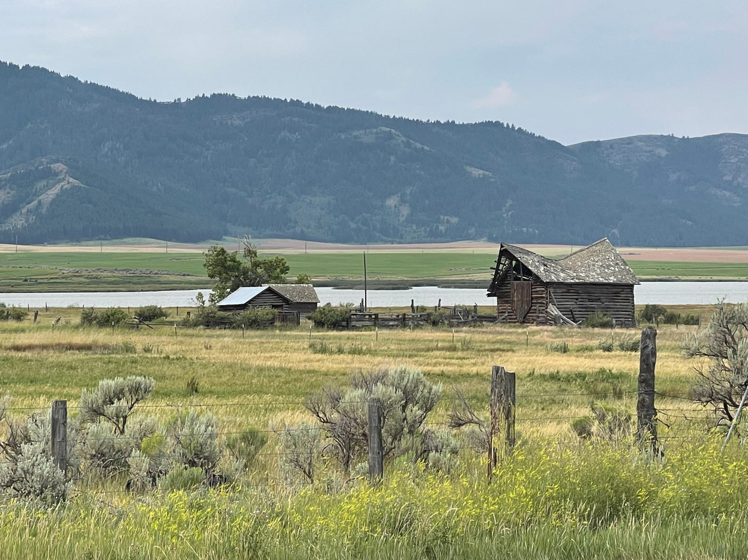 Cobblestone Inn & Suites - Soda Springs主图