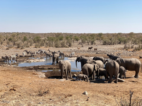 Mannor Safaris Namibia-温德和克必去景点