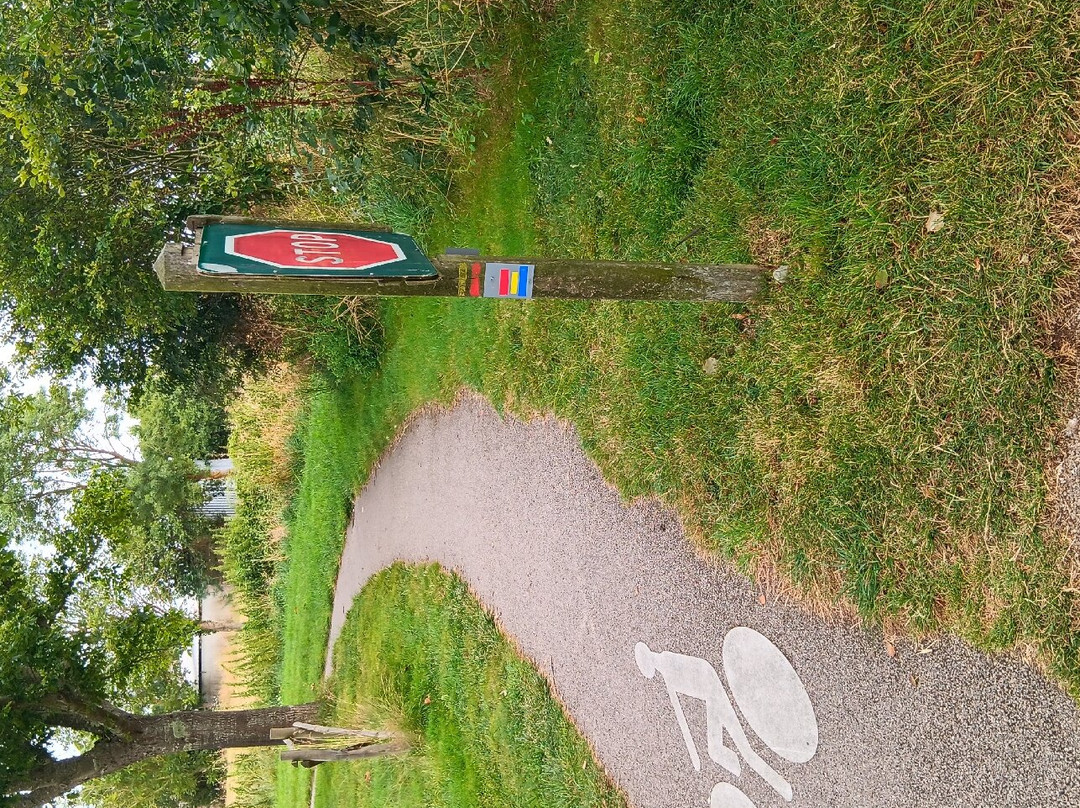 Parc Des Arnaudières景点图片