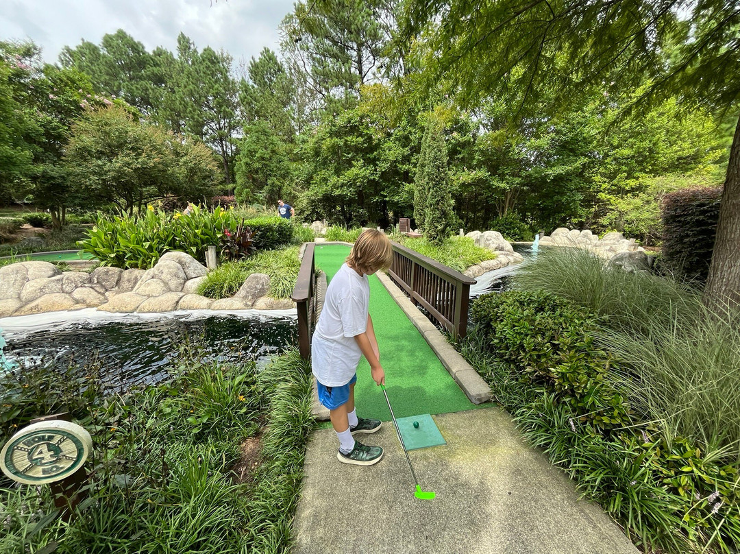 Frankie's Fun Park景点图片