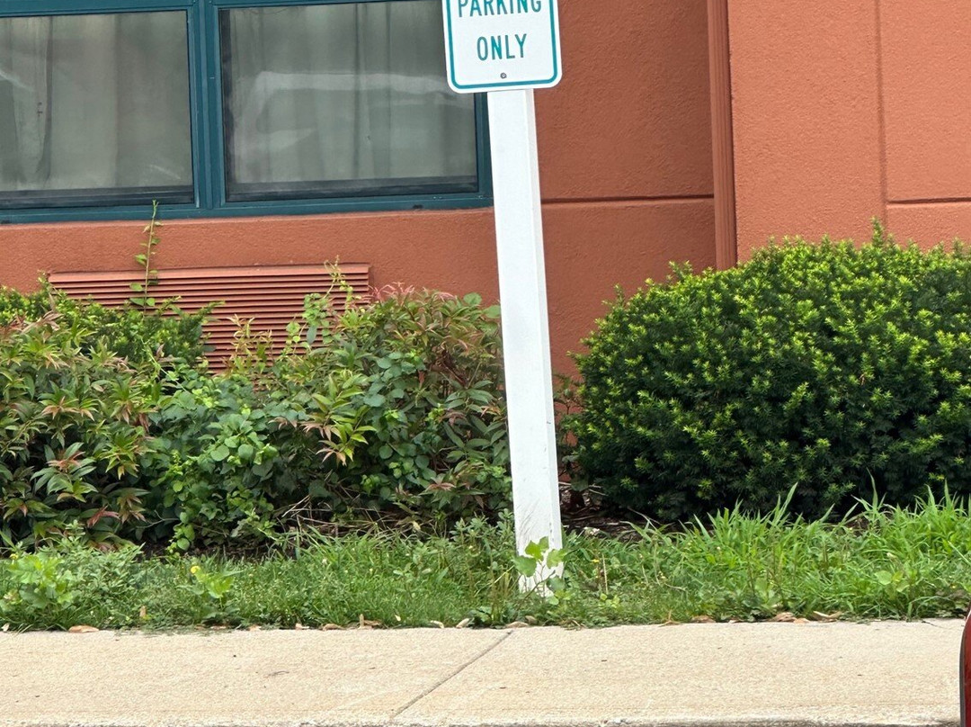 Extended Stay America Select Suites - Hartford - Manchester主图