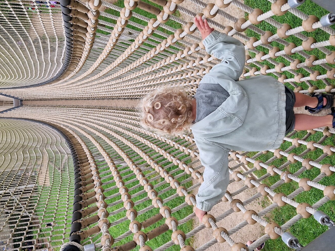 Parc Forestier Récréatif Chlorophylle景点图片