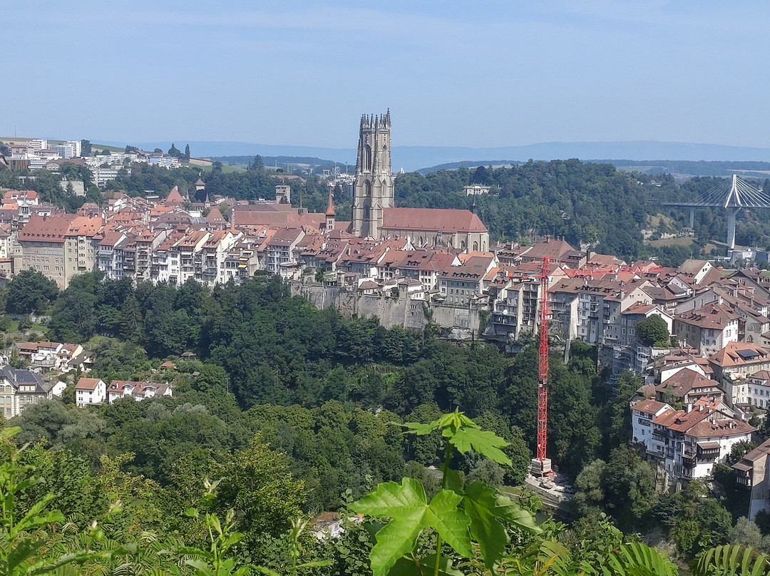 Fribourg Centre-弗里堡必去景点