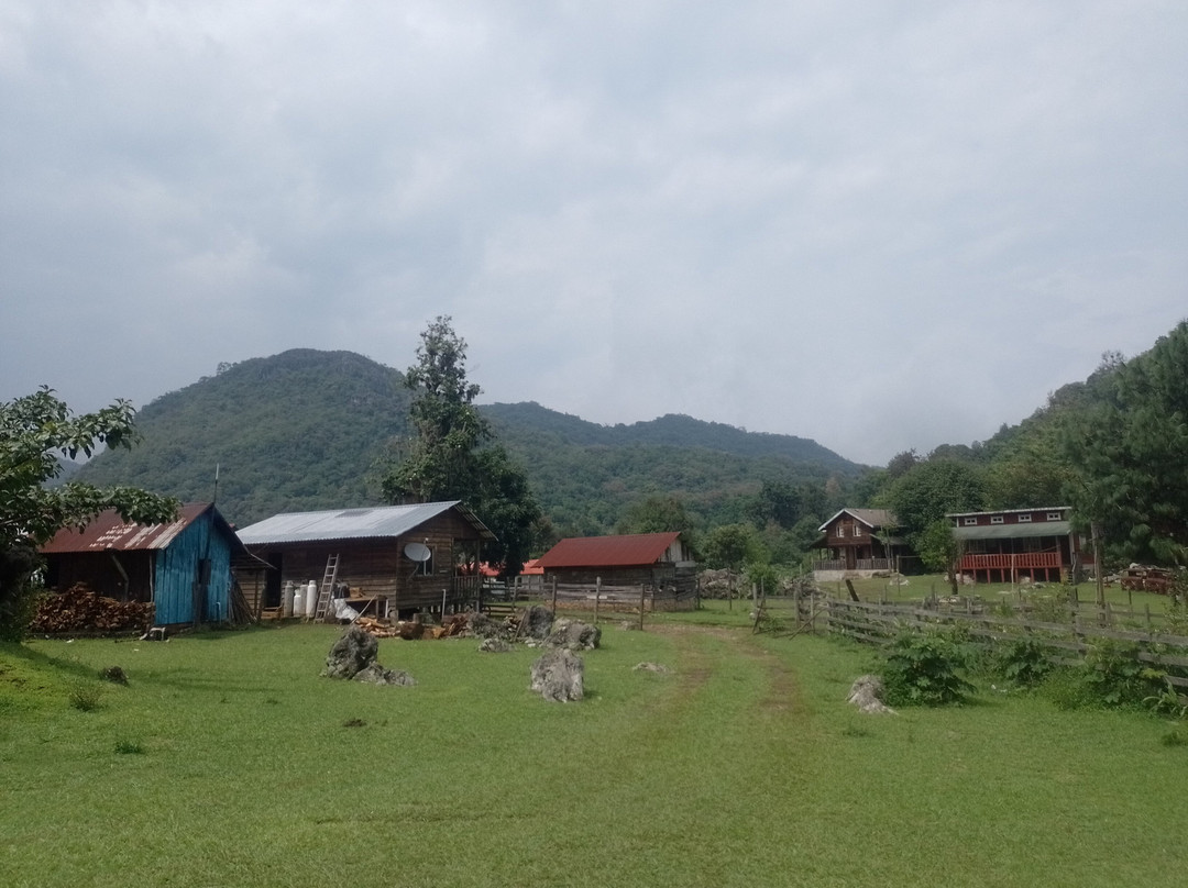 El Cielo International Biosphere Reserve / La Reserva Biosfera El Cielo景点图片