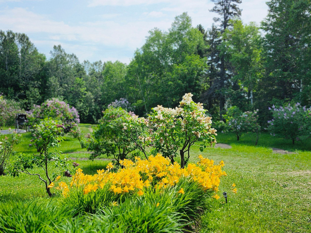 Les Jardins du Cap à l'Aigle-拉马尔拜必去景点