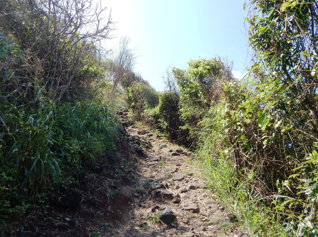 Leao Beach-费尔南多-迪诺罗尼亚群岛必去景点