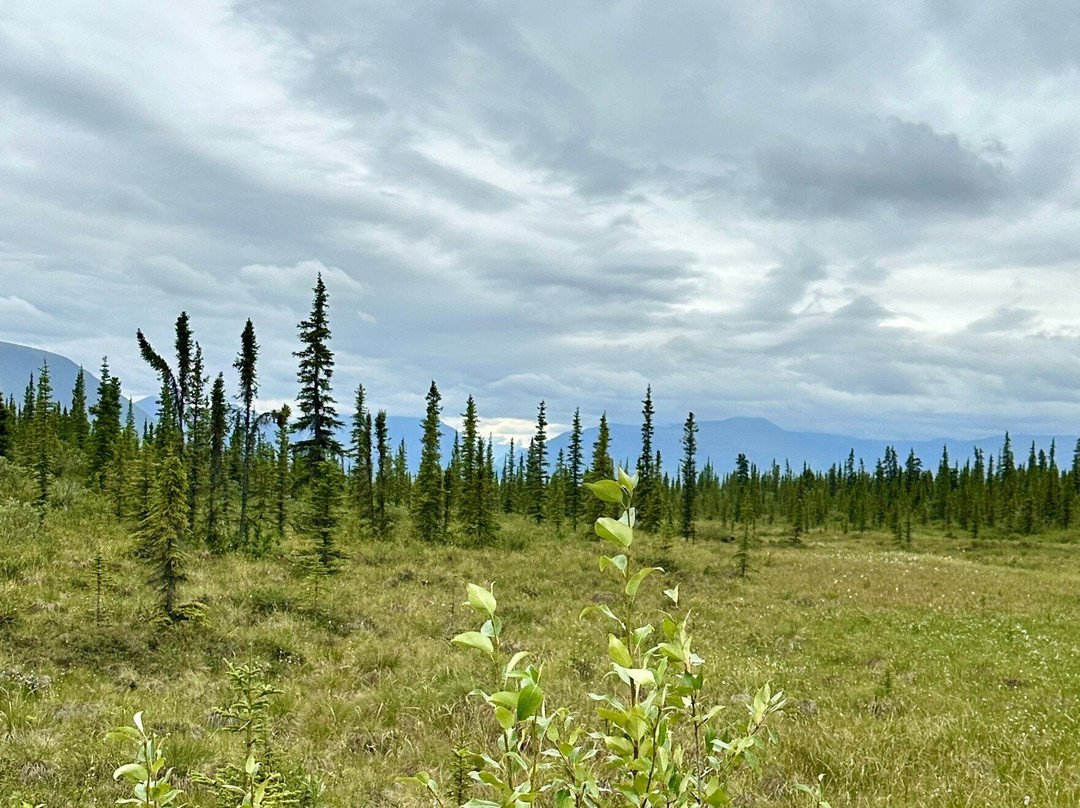 Nabesna Road-Slana必去景点