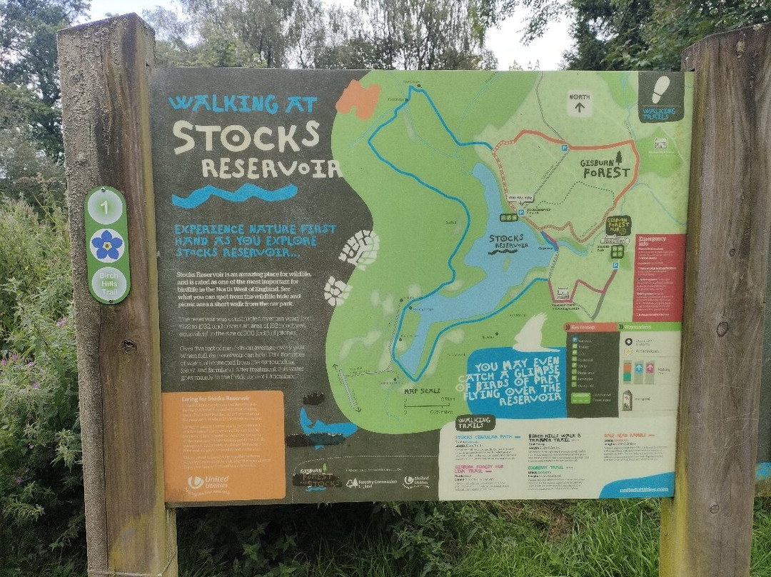 Gisburn Forest And Stocks景点图片