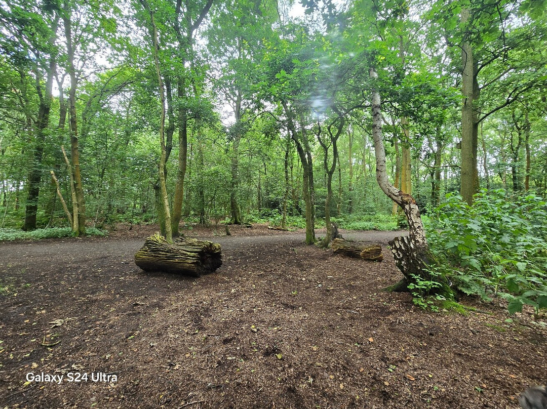 Brereton Heath Local Nature Reserve-Sandbach必去景点