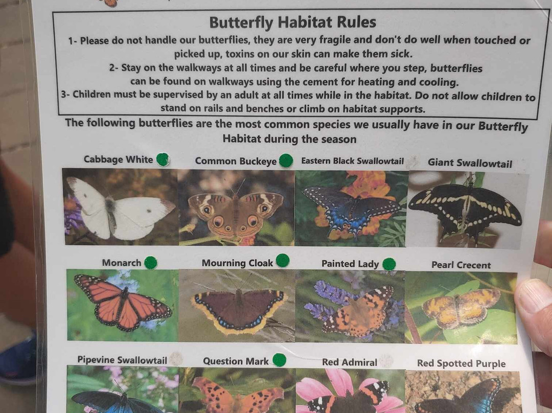 Butterflies of Cape Cod景点图片