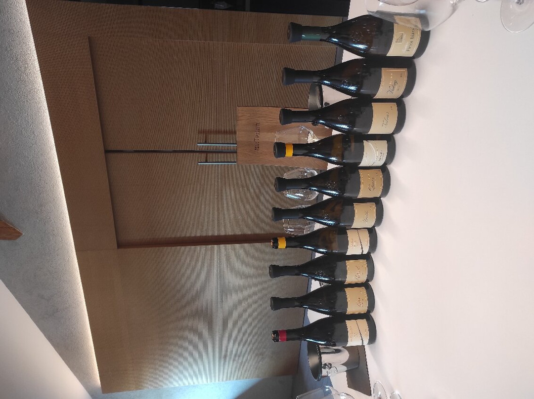 Kellerei Cantina Terlan-Terlano必去景点