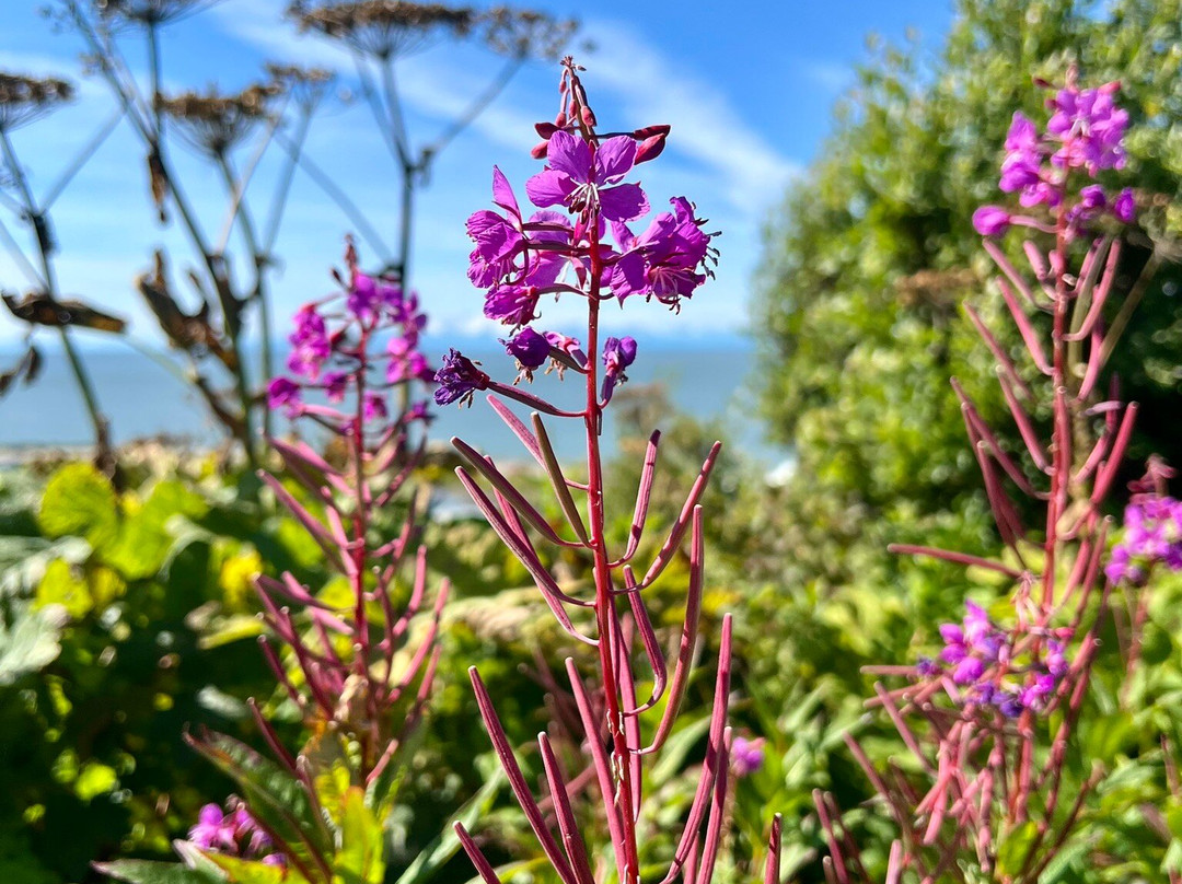 Transfiguration of Our Lord Church-尼尔奇克必去景点