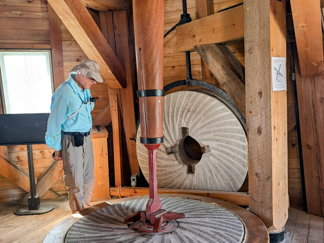 Mennonite Heritage Village Museum景点图片