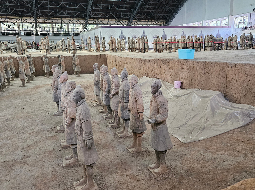 Terracotta Warriors Tour-西安市必去景点