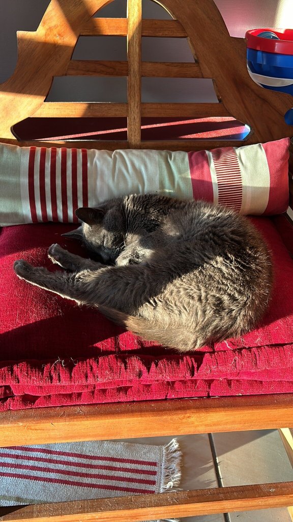 Goxoki Hôtel & Appartements-官方