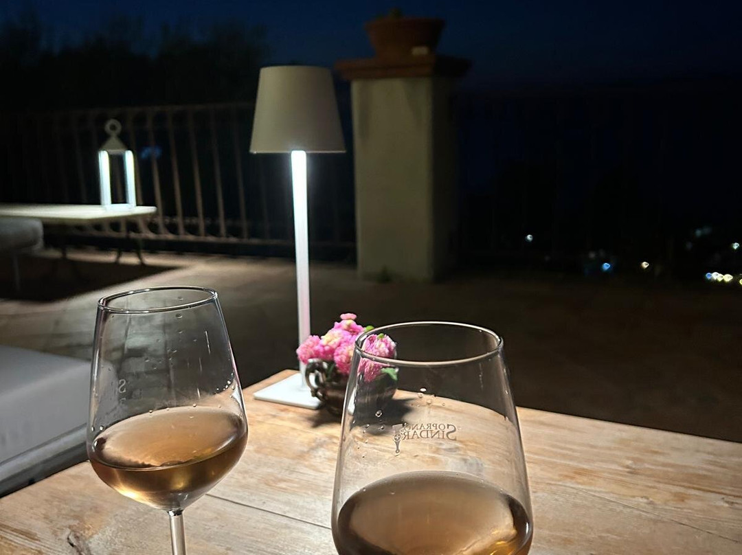 Azienda Agricola "Soprano di Sindaro"景点图片