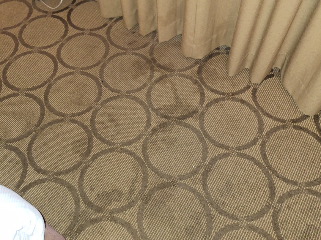 Comfort Inn Kapuskasing主图